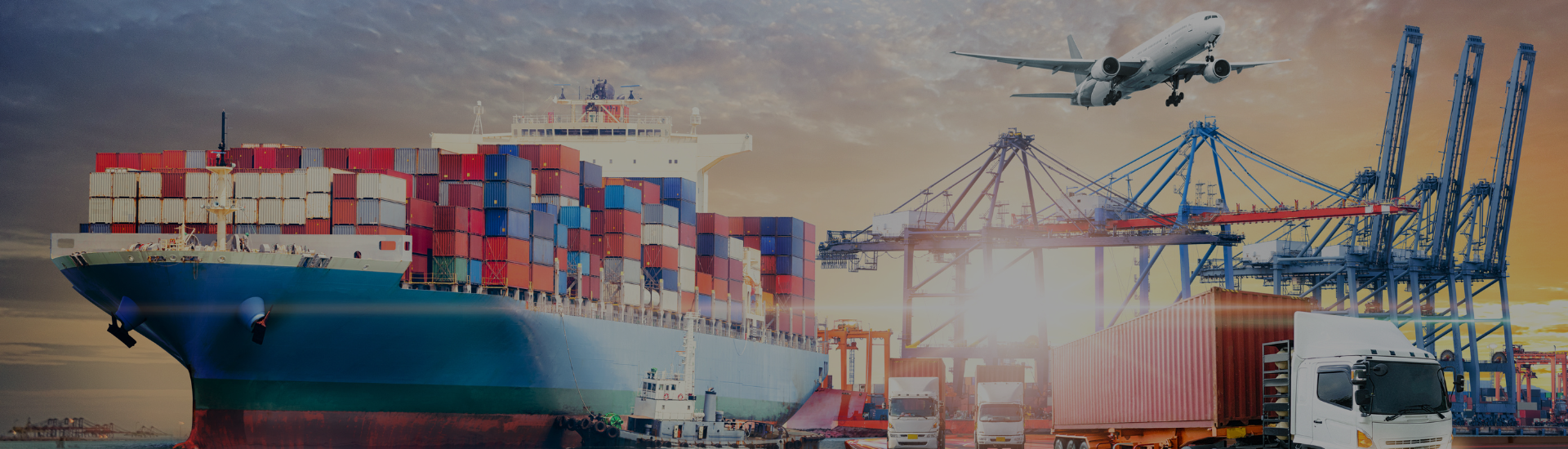 Logistic Solutions